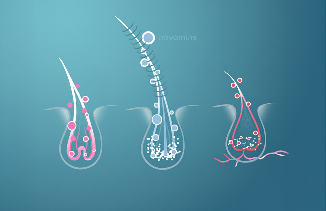 Hair Loss SOS: The Vitamins Your Follicles are Craving