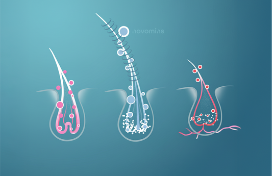 Hair Loss SOS: The Vitamins Your Follicles are Craving