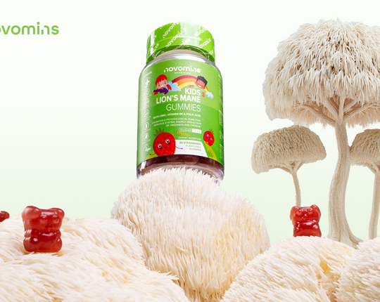 Il fungo gentile di cui tutti parlano: la criniera di leone spiegata